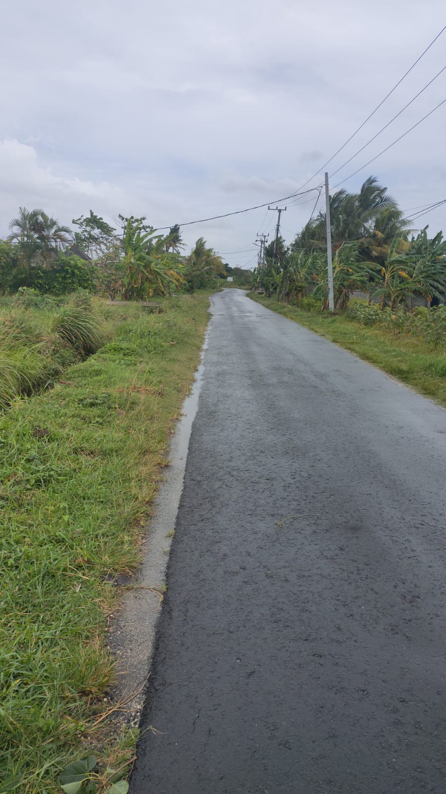 Rumah dijual di Kutat Lestari Sanur