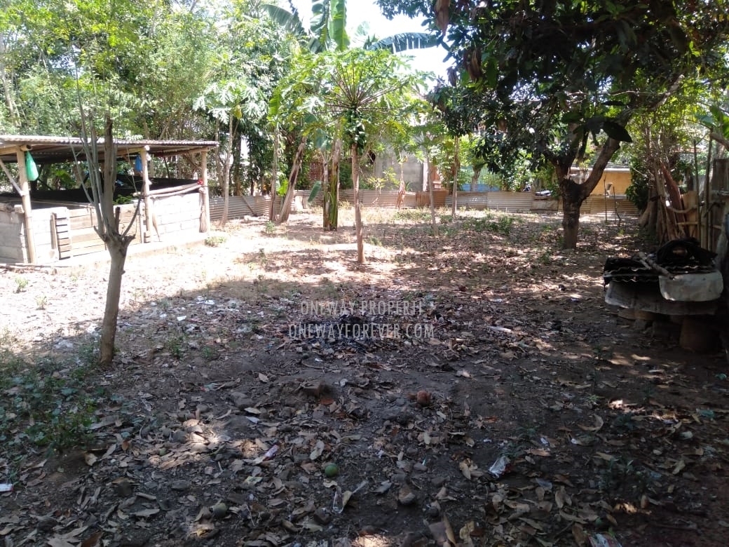 Tanah dijual di air terjun sekumpul Buleleng