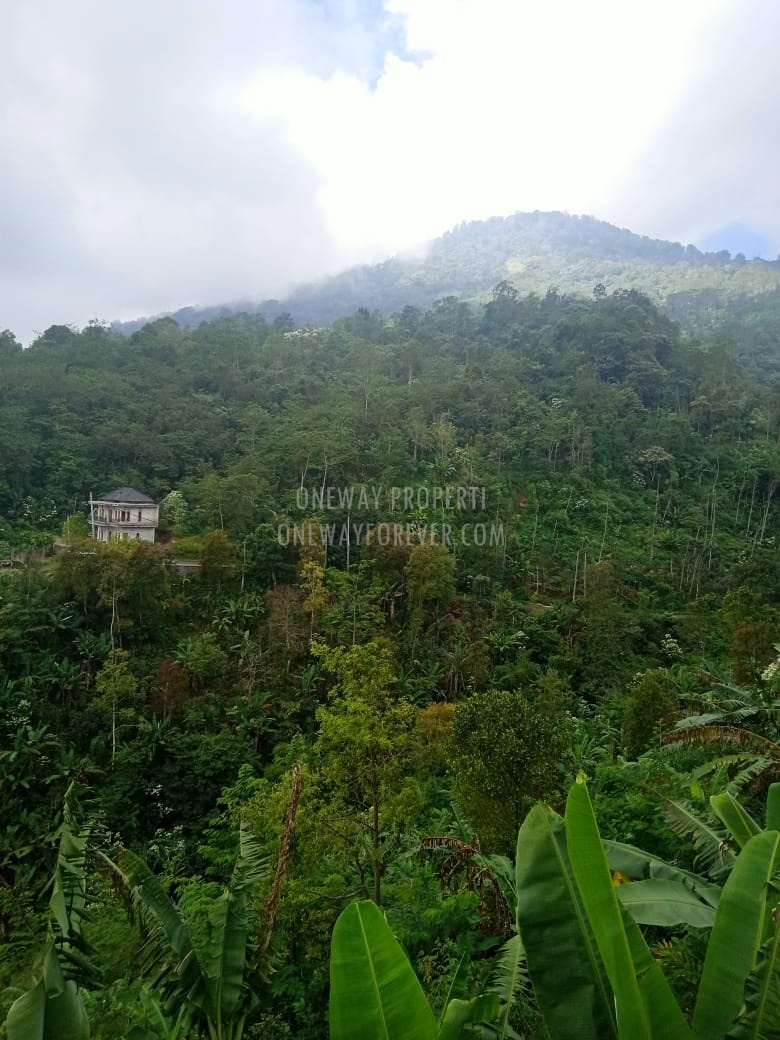 Tanah dijual di air terjun sekumpul Buleleng